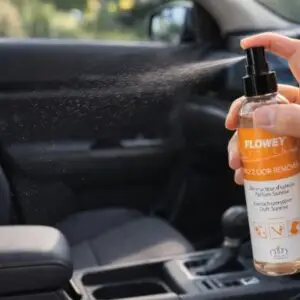 Eliminadores de olores